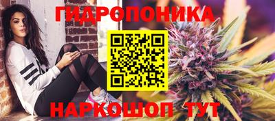 амф Дубна