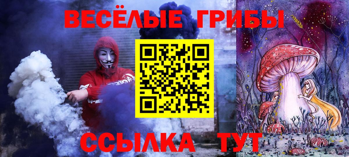 Мценск  Псилоцибиновые грибы Cubensis  Вход с VPN  Псилоцибиновые грибы Magic Shrooms 