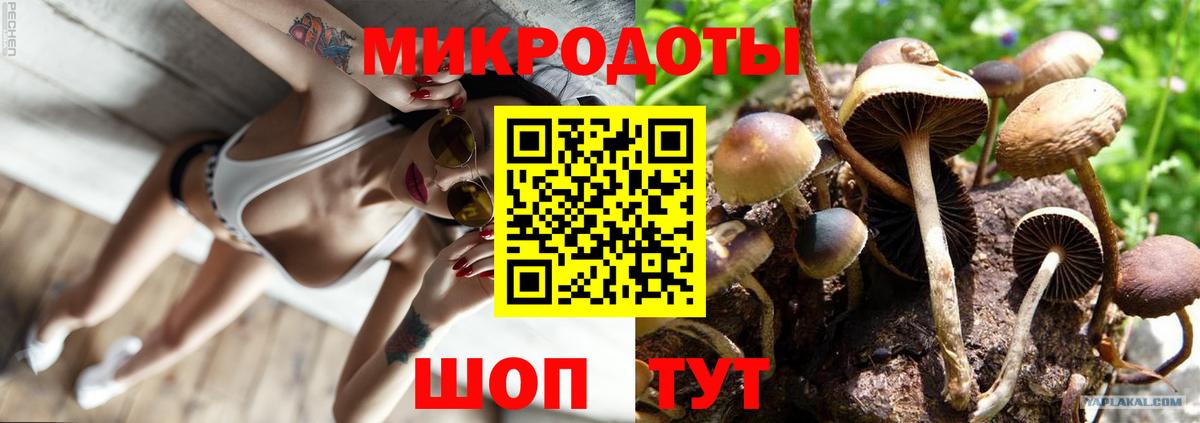 Галлюциногенные грибы прущие грибы Мценск
